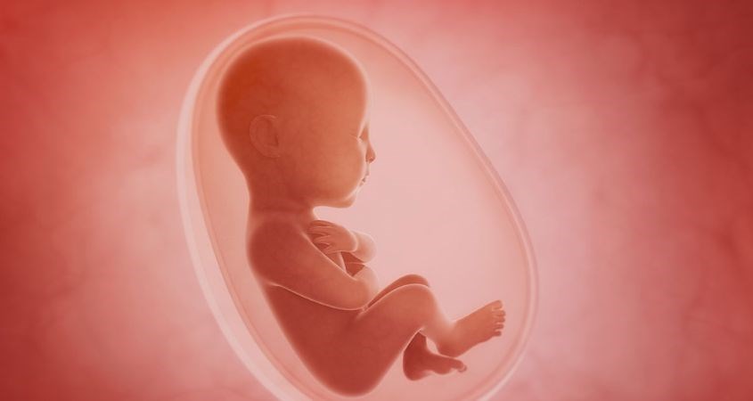 Trong 3 tháng cuối của thai kỳ, thai nhi cần rất nhiều canxi để hoàn thiện hệ xương