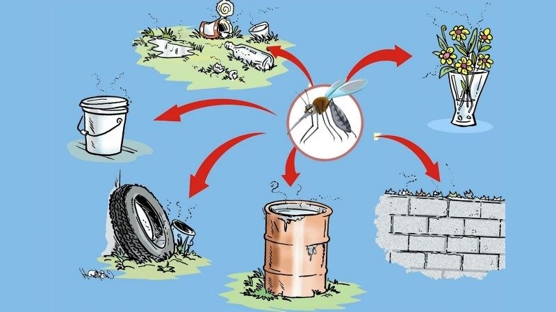Loại bỏ vật chứa nước trong nhà dù là nhỏ nhất để ngăn muỗi sinh sôi