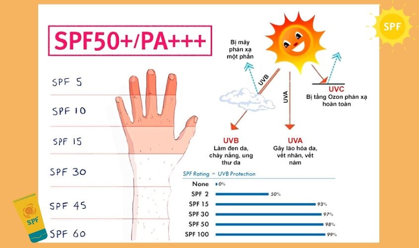 Kem chống nắng có chỉ số SPF từ 30 trở lên giúp bảo vệ da tốt hơn