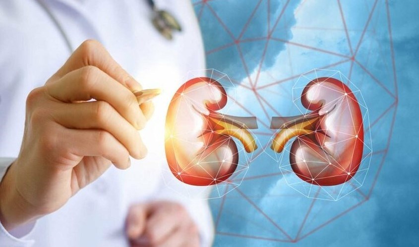 Uống nước nhiều sẽ giúp thận hoạt động ổn định và khỏe mạnh