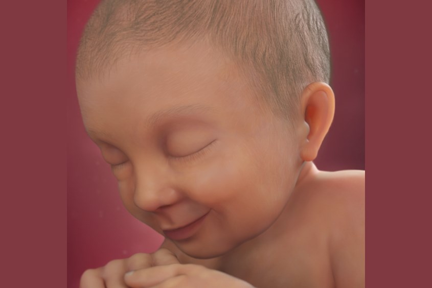 Sự phát triển của thai nhi ở tuần 37