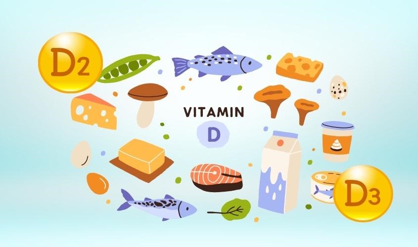Vitamin D2 và D3 đều có vai trò quan trọng đến xương khớp