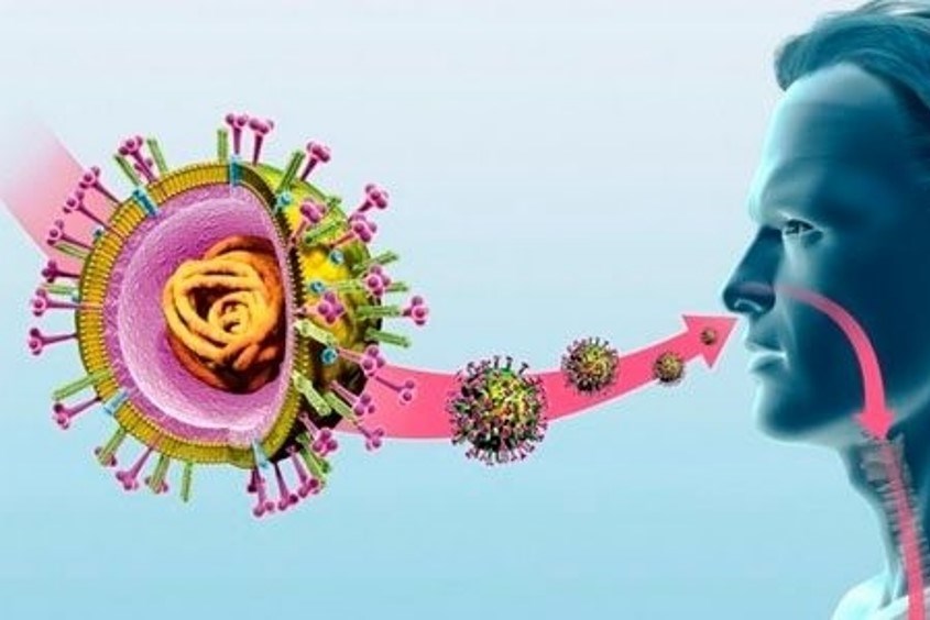 Cách điều trị nhiễm trùng hô hấp