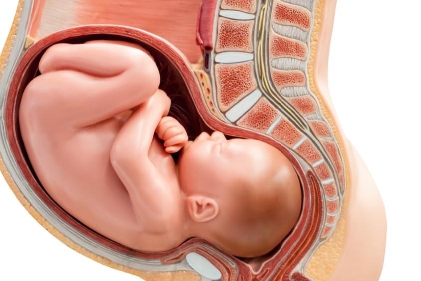 Sự phát triển của em bé trong bụng mẹ là điều đáng kinh ngạc. Hãy đón xem kích thước bụng bầu lúc 5 tháng để ngạc nhiên trước sự phát triển của em bé.
