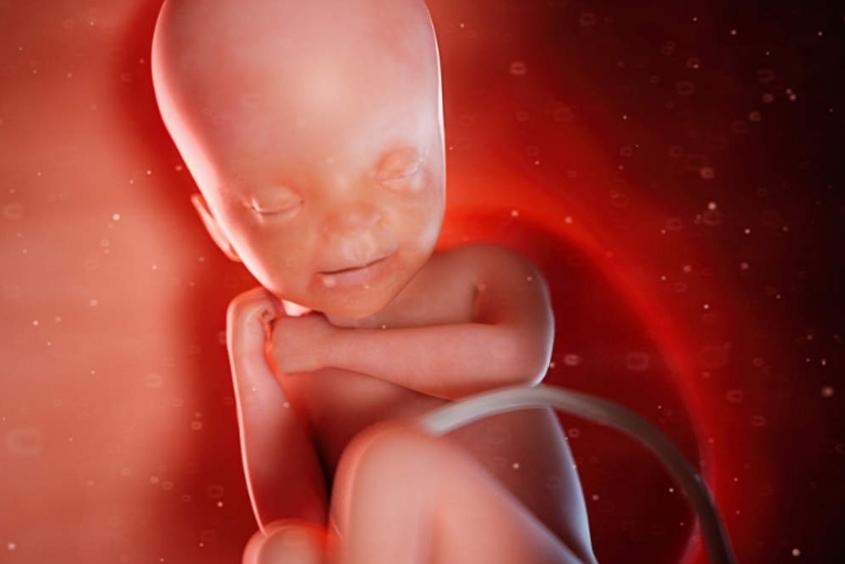 Sự thay đổi của bụng bầu 6 tháng và thai nhi