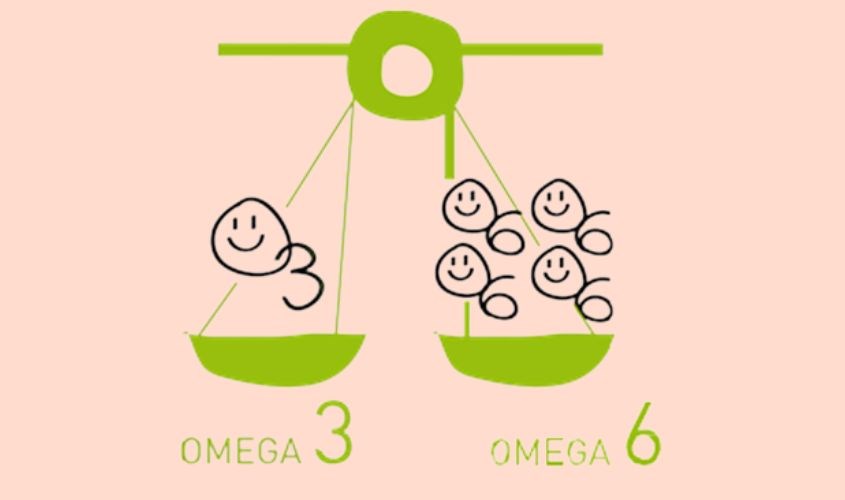 Cần cân bằng tỷ lệ ALA và LA trong vitamin F để cơ thể có thể hấp thu tốt nhất