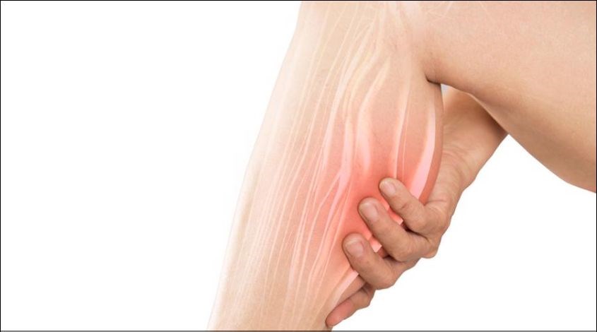 Giúp cơ hoạt động linh hoạt