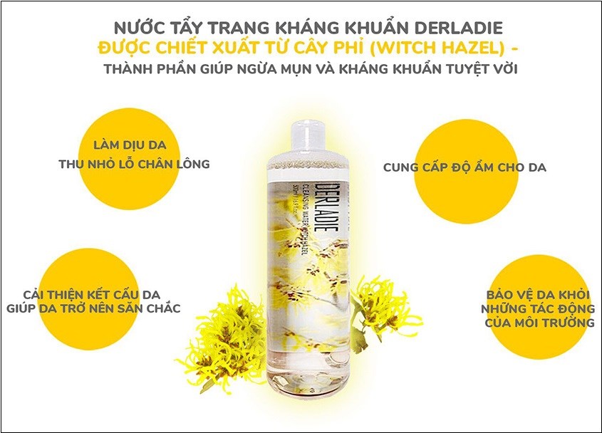 Chiết xuất cây phỉ giúp làm sạch sâu, kháng khuẩn an toàn