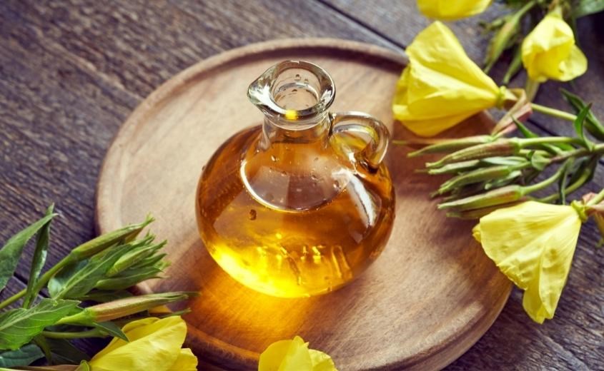 Chiết xuất Evening Primrose Root có trong rễ hoa anh thảo giúp đào thải bã nhờn