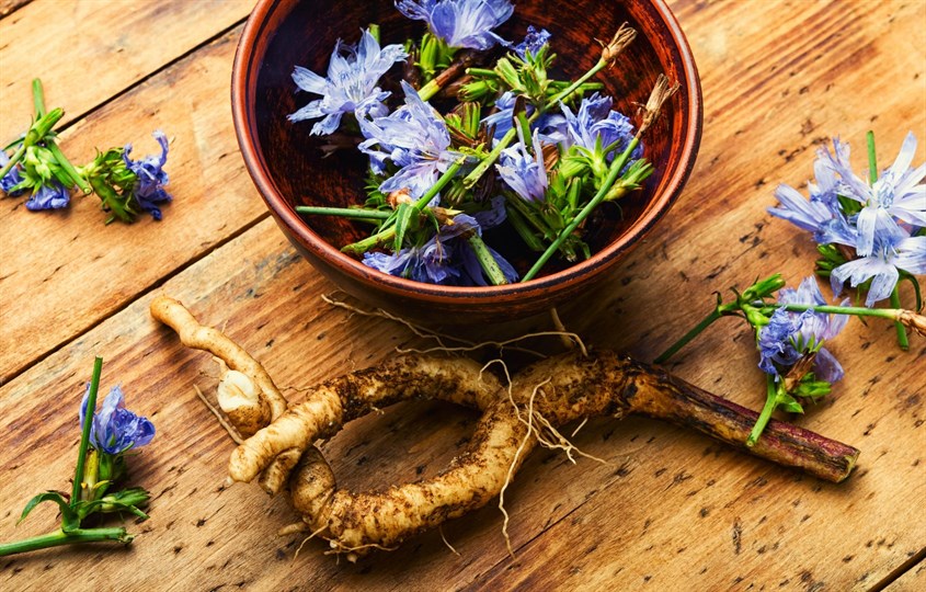 Inulin là một loại chất xơ 