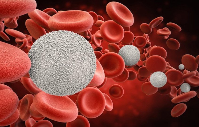 Kiểm soát lượng đường trong máu