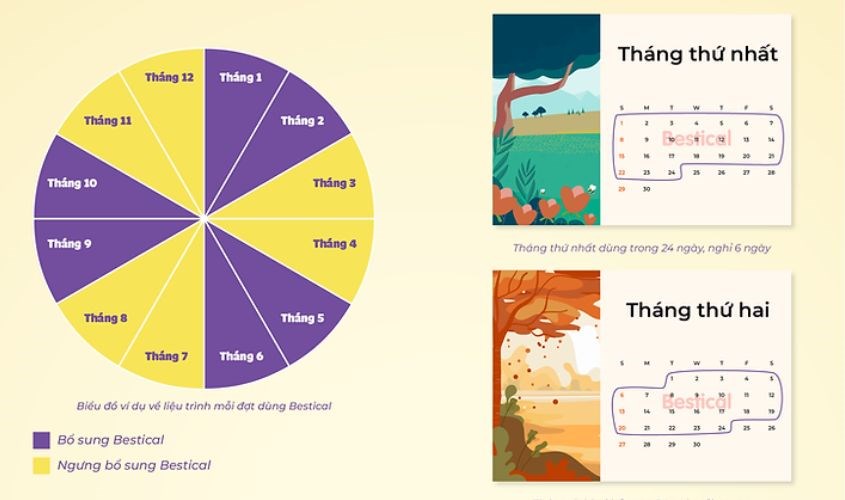 Sử dụng siro ErgoPharma Bestical theo đúng liệu trình nhà sản xuất khuyến cáo