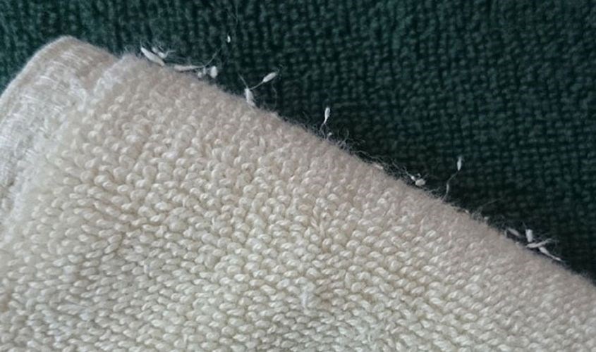 vải Acrylic dễ bị xù lông