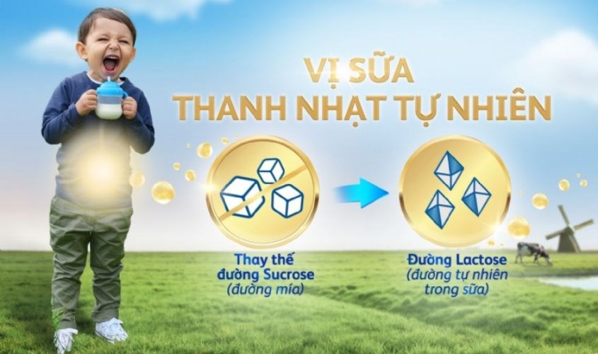 Friso có hương vị tươi mát