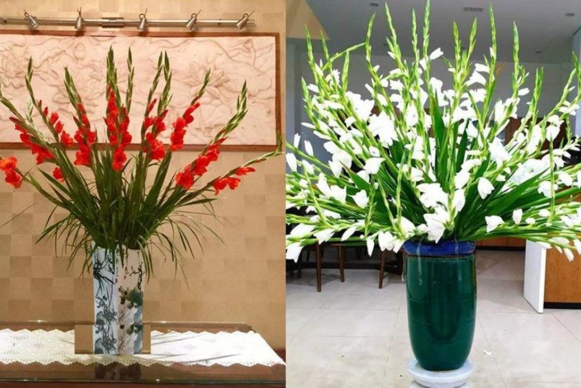 Gợi ý cách cắm hoa lay ơn để bàn thờ