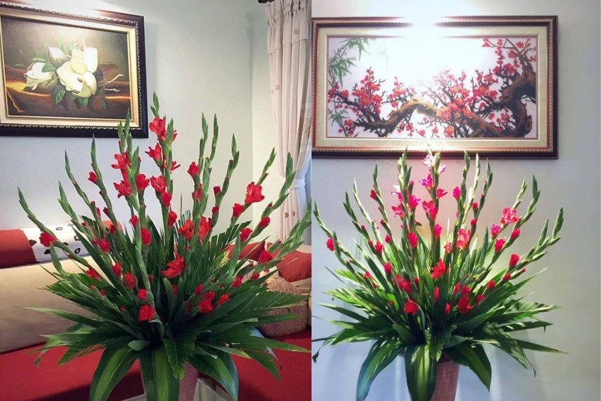 Hãy ngắm nhìn hình ảnh đầy màu sắc của hoa lay ơn, những cánh hoa tuy nhỏ nhưng lại vô cùng đẹp đẽ. Trong văn hoá Việt Nam, hoa lay ơn thường được tặng làm quà nhân dịp lễ hội, tượng trưng cho sự trân trọng và biết ơn.