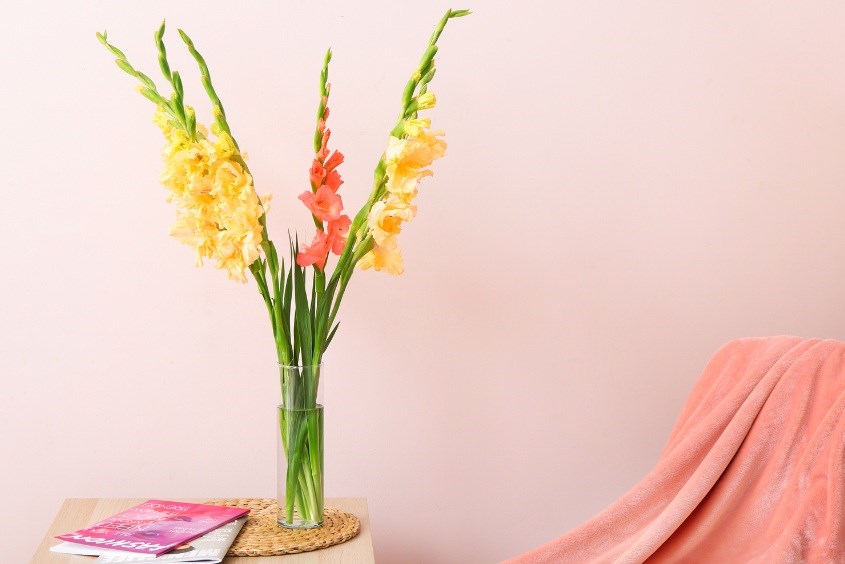 5+ Cách Cắm Hoa Lay Ơn Trang Trí Nhà Cửa Ngày Tết Mẹ Nên Biết