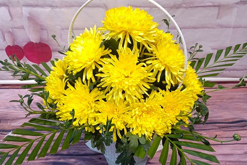 Hướng dẫn mẹ bỉm cách cắm hoa cúc