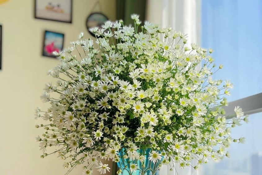 Tổng hợp hơn 90 cắm hoa cúc trắng hay nhất - trieuson5