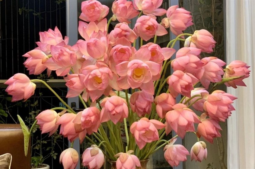 Mách mẹ các cách cắm hoa sen đẹp