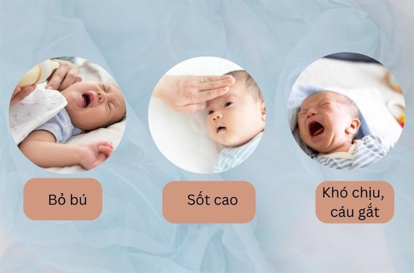 Biểu hiện bất thường của bé khi mắc bệnh suy hô hấp Nhịp thở của trẻ sơ sinh