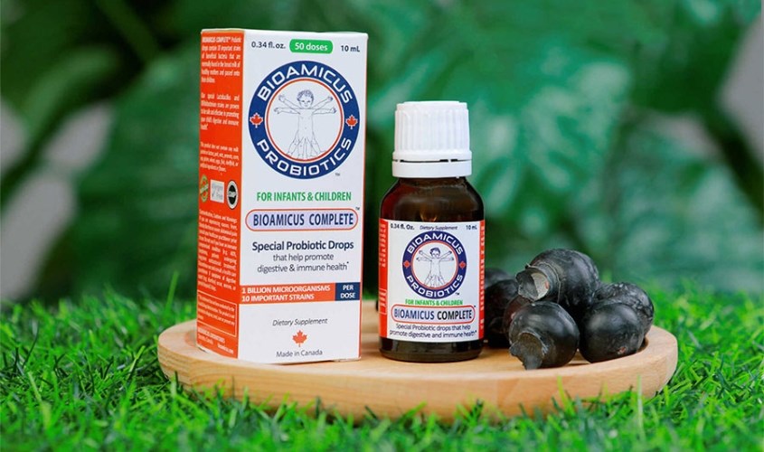 Men vi sinh BioAmicus Complete hỗ trợ cải thiện hệ vi sinh đường ruột 10 ml (từ 0 tháng) Men vi sinh BioAmicus Complete hỗ trợ cải thiện hệ vi sinh đường ruột 10 ml (từ 0 tháng)