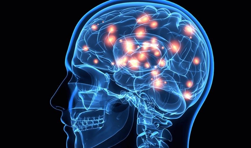 Bảo vệ các dây thần kinh trong não