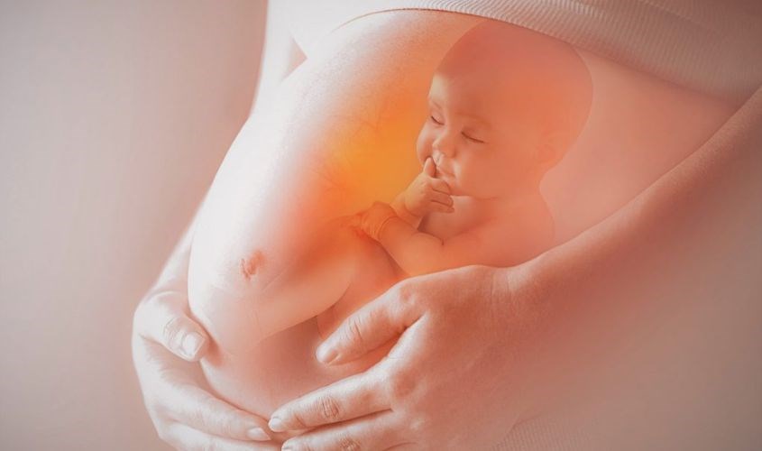 Hỗ trợ sự phát triển thai nhi từ trong bụng mẹ