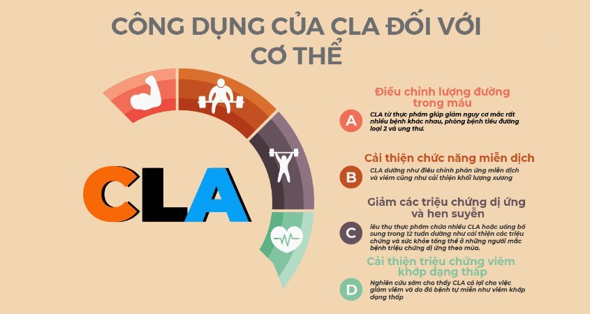 Phô mai chứa một lượng CLA