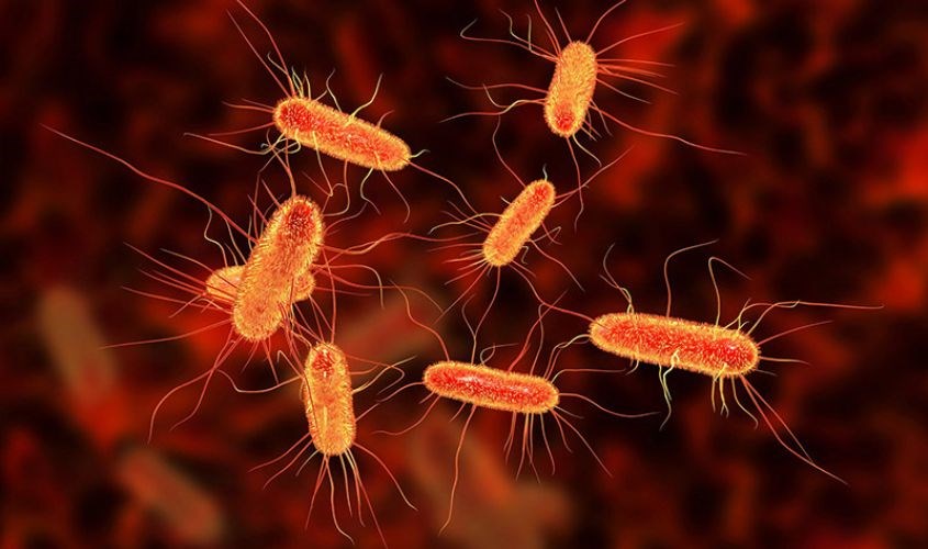 Nhiễm trùng sơ sinh nguyên nhân là do tiếp xúc trực tiếp với nguồn vi khuẩn trong quá trình sinh qua đường âm đạo 