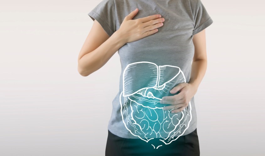 Bifidobacterium là lớp lá chắn kiên cố bảo vệ hệ tiêu hóa