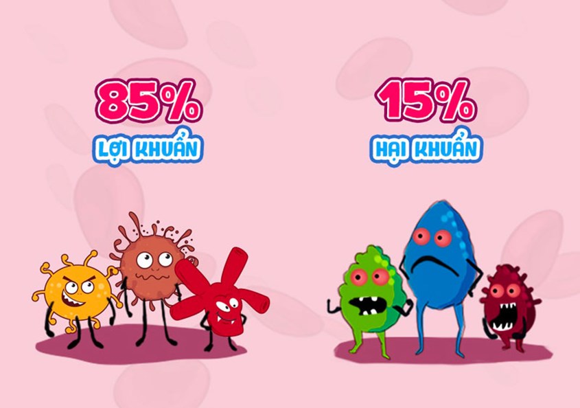 Cả hai dòng sữa đều hỗ trợ hệ tiêu hoá hoạt động tốt hơn và tăng cường hệ miễn dịch