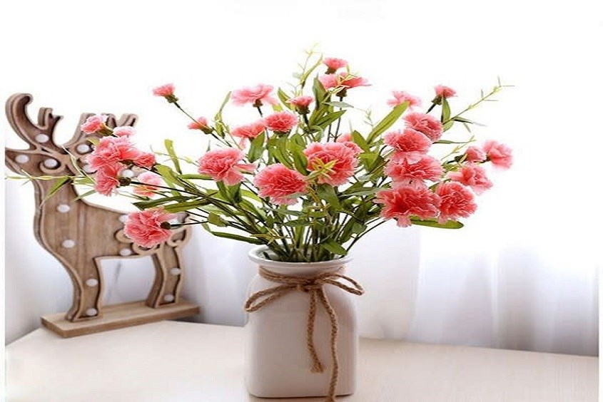 12 cách cắm hoa cẩm chướng đẹp, phù hợp mọi không gian