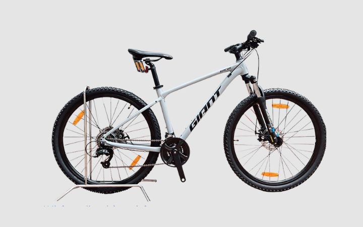 Xe đạp địa hình Giant Rincon 2 (2022) 29 inch