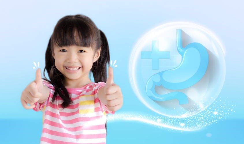 Thành phần chủ yếu là trái cây, hỗ trợ tiêu hóa rất tốt