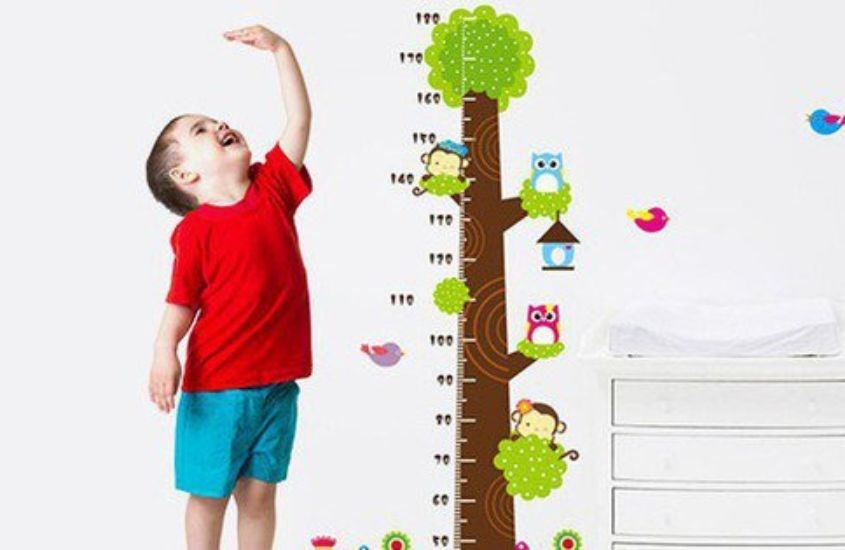 Hỗ trợ hệ xương phát triển