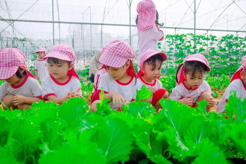 Trường mầm non Việt Nhật Đà Nẵng Trường mầm non Việt Nhật Đà Nẵng