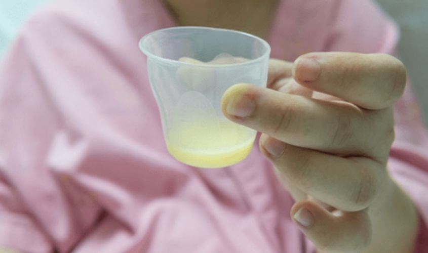 Sữa non chứa nguồn dinh dưỡng dồi dào