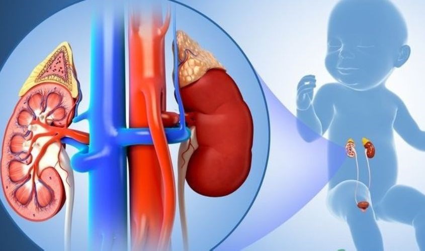 Ảnh hưởng xấu đến thận của trẻ theo thời gian