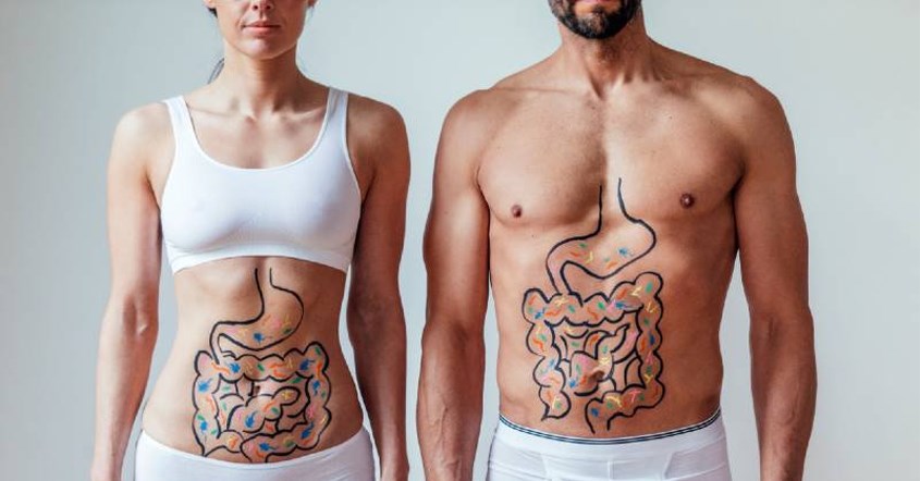 tốt cho hệ tiêu hóa