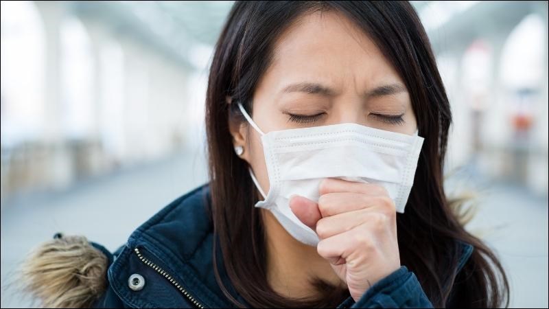 Rau húng quế giúp chữa ho