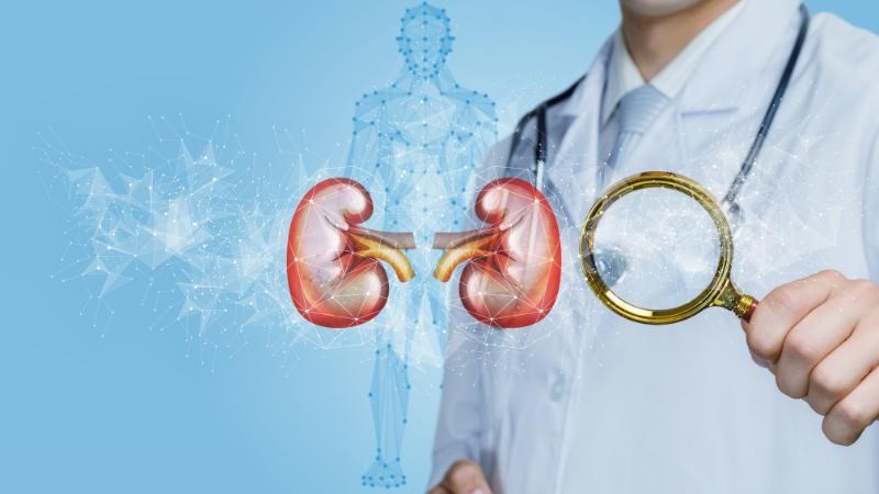 Lợi tiểu, bổ thận bằng cách dùng rau húng quế
