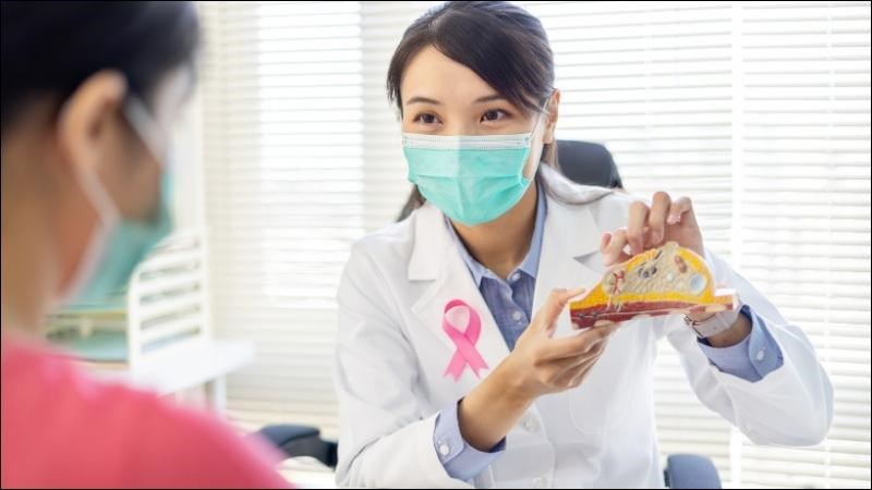 Lá húng quế có khả năng ngăn ngừa ung thư, trong đó có ung thư vú