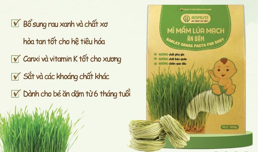 Mì ăn dặm mầm lúa mạch Organic Anpaso 120g dành cho bé từ 7 tháng