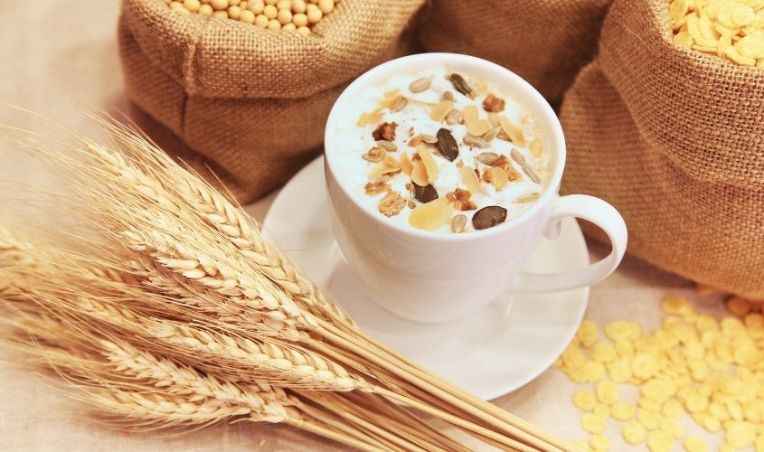 Ngũ cốc có chứa hàm lượng protein và chất béo dồi dào