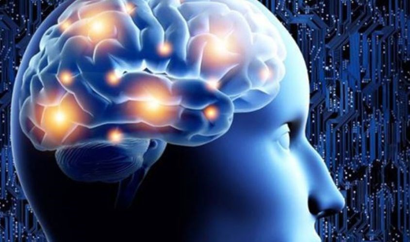 Cải thiện trí lực