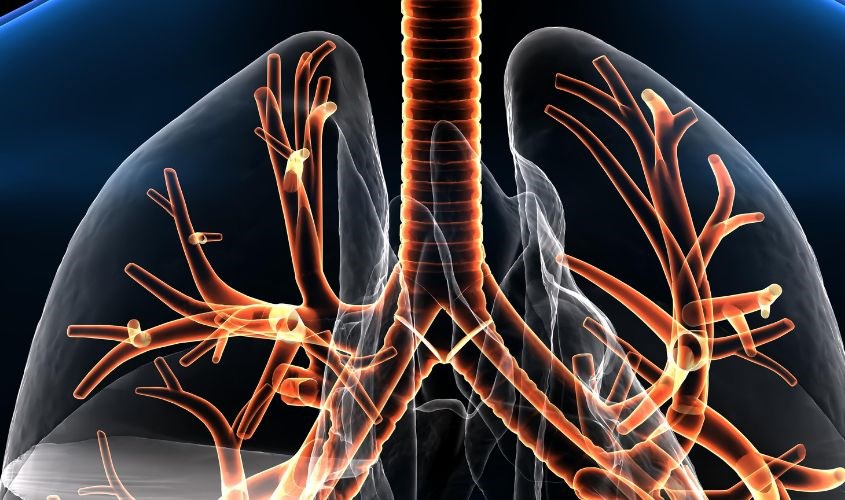 Yến chưng đông trùng hạ thảo làm sạch cơ quan hô hấp