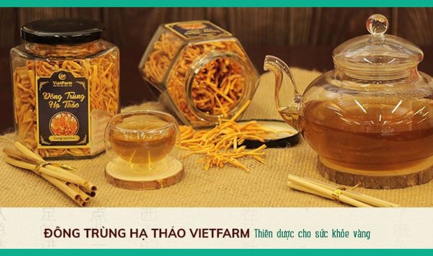 Yến chưng đông trùng hạ thảo Vietfarm