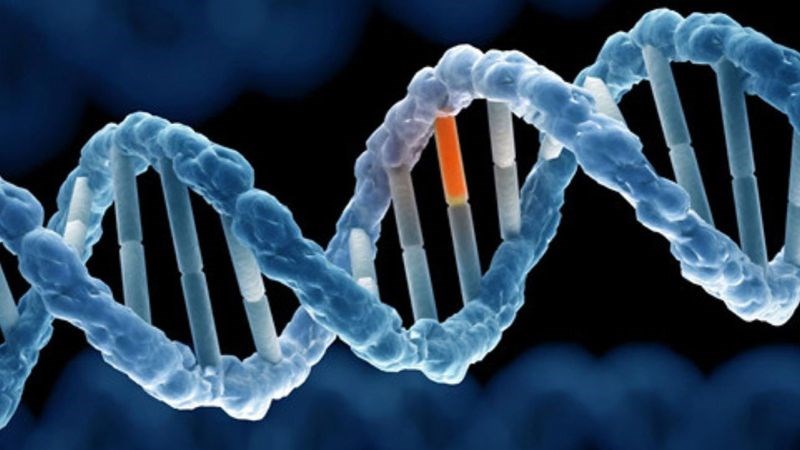 Yếu tố di truyền cũng là một nguyên nhân có tác động ý nghĩa đến nguy cơ mắc phải BPH