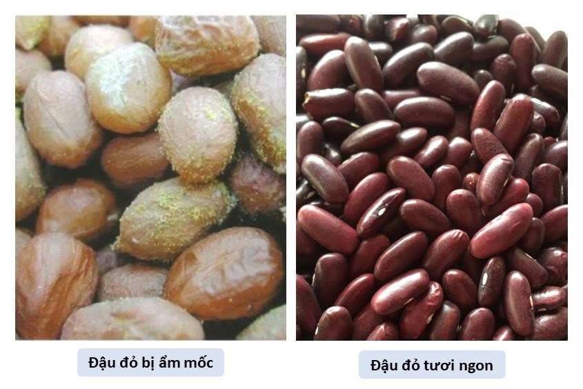 Cách chọn đậu đỏ tươi ngon để nấu món ăn dặm từ đậu đỏ